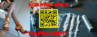 винт Партизанск