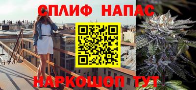 винт Партизанск