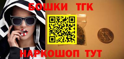 винт Партизанск