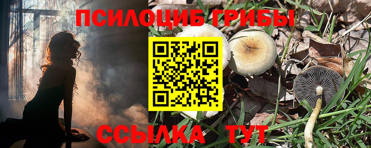 Псилоцибиновые грибы ЛСД  Вход с VPN  Приморско-Ахтарск 