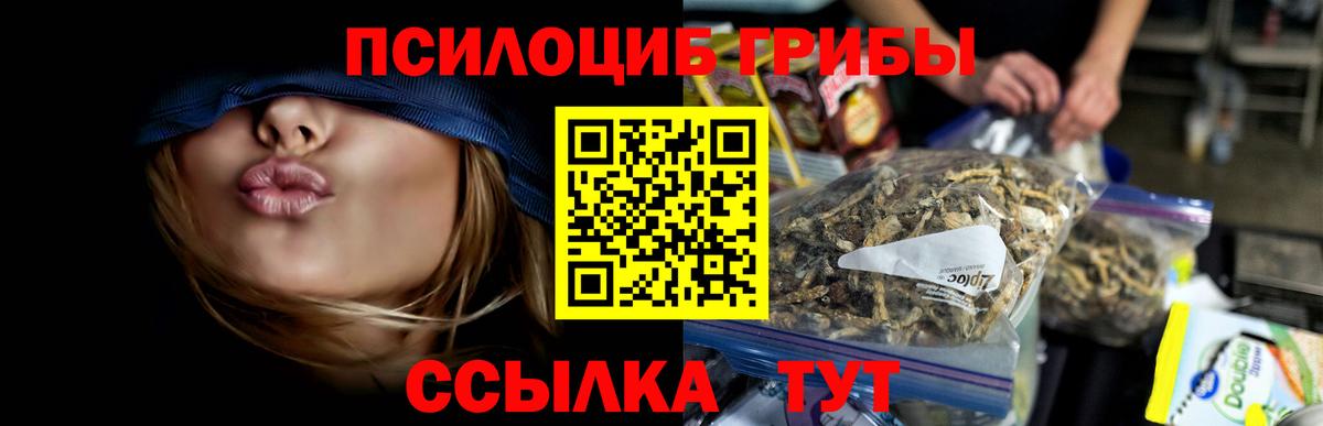 Псилоцибиновые грибы GOLDEN TEACHER Приморско-Ахтарск